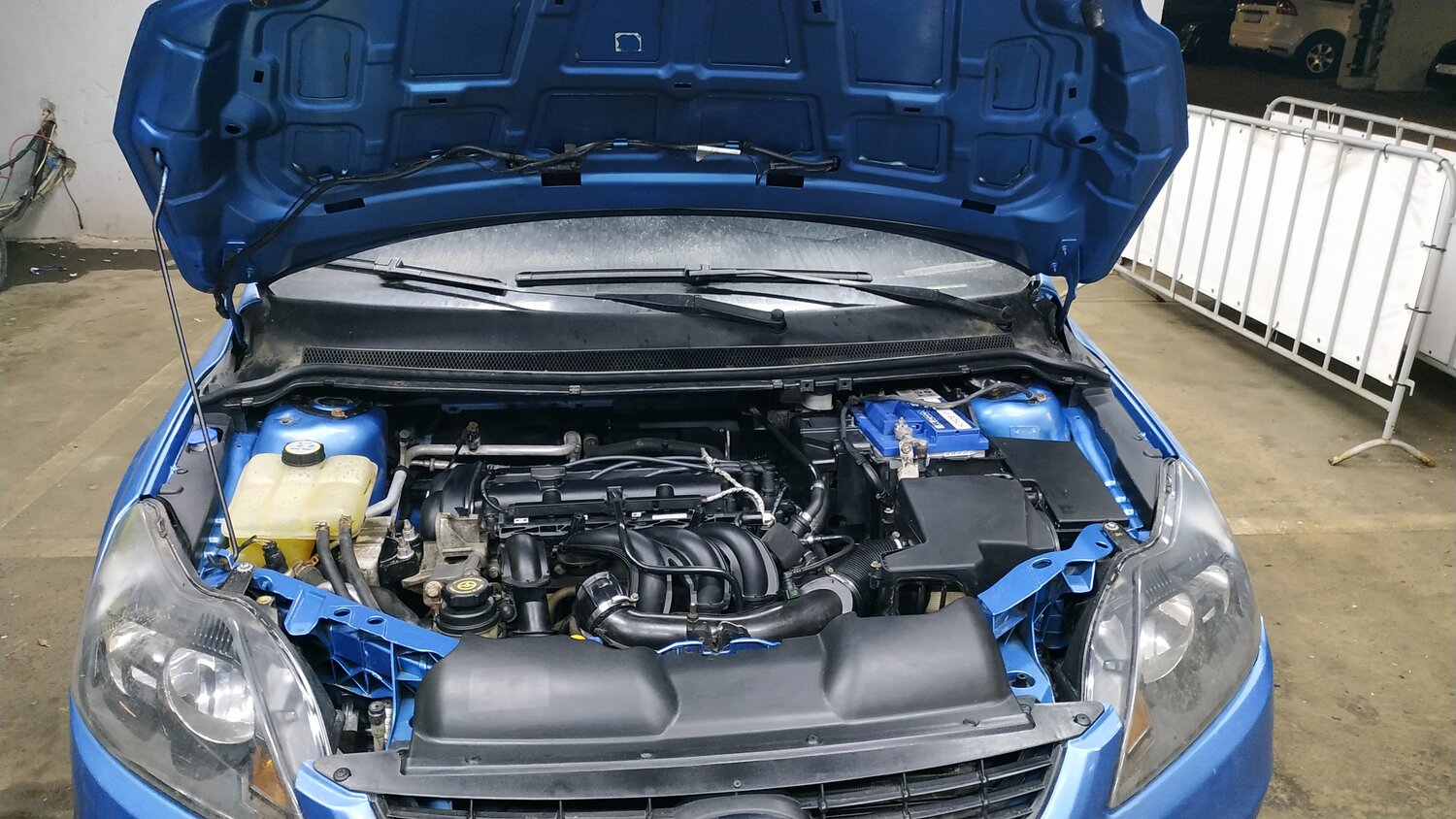 ford focus 1 подкапотка, форд фокус 2 под капотом, форд фокус 2006 года синий, двигатель форд фокус 2, focus ford