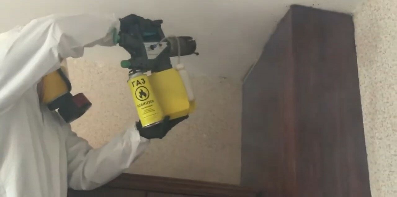 дезинсекция, дезинфекция, уничтожение клопов, дезинфекция дезинсекция дератизация, дезинфекция поверхностей