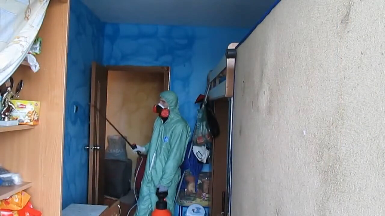 дезинфекция, дезинсекция, дезинфекция подъездов, дератизация и дезинсекция, дезинфекция дезинсекция дератизация