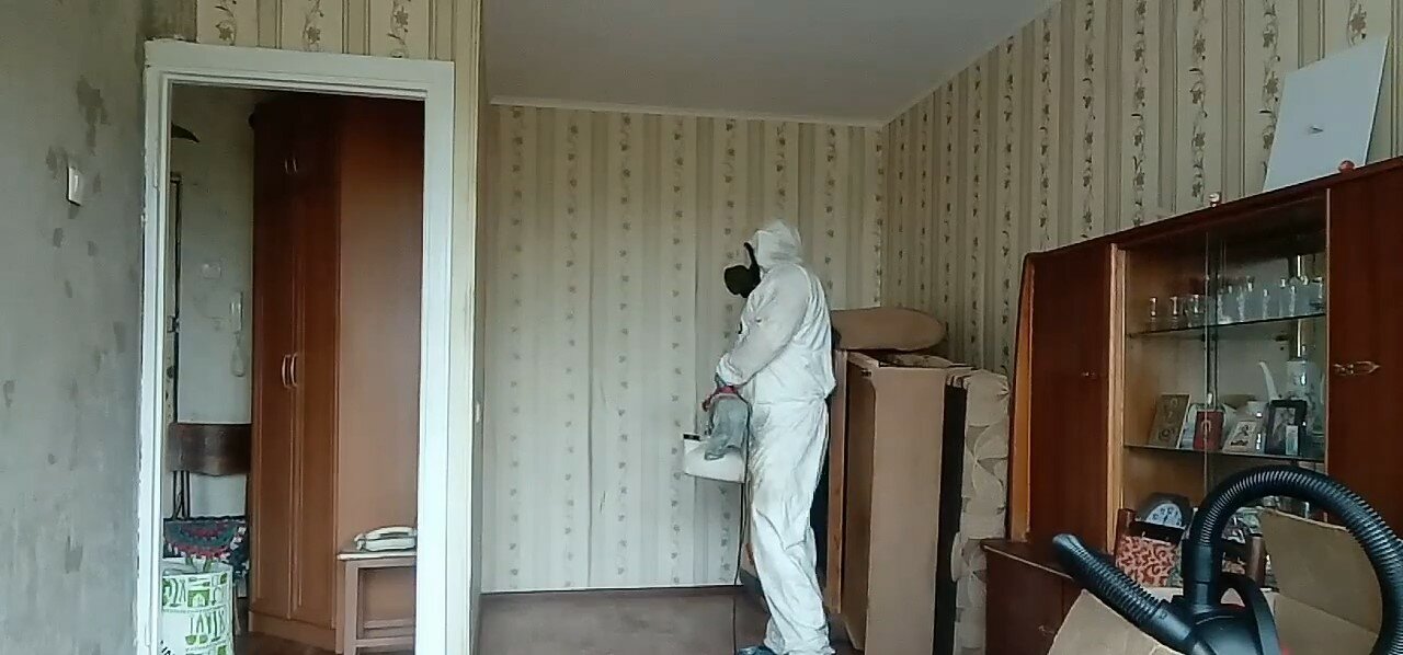 уничтожение клопов, дезинсекция, обработка от клопов, дезинфекция от клопов в квартире, дезинсекция и дератизация