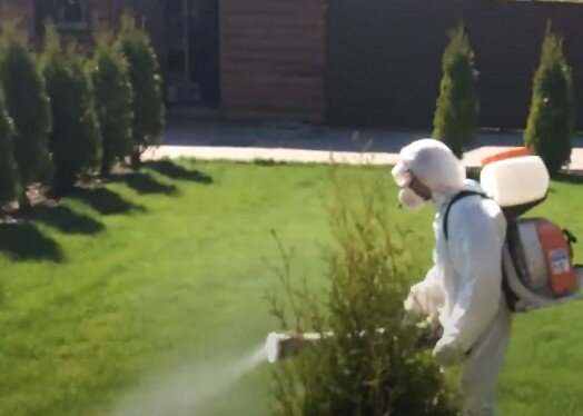 дезинсекция комаров, дезинфекция участка от клещей, обработка сада, дезинфекция, дезинсекция клещей на участке