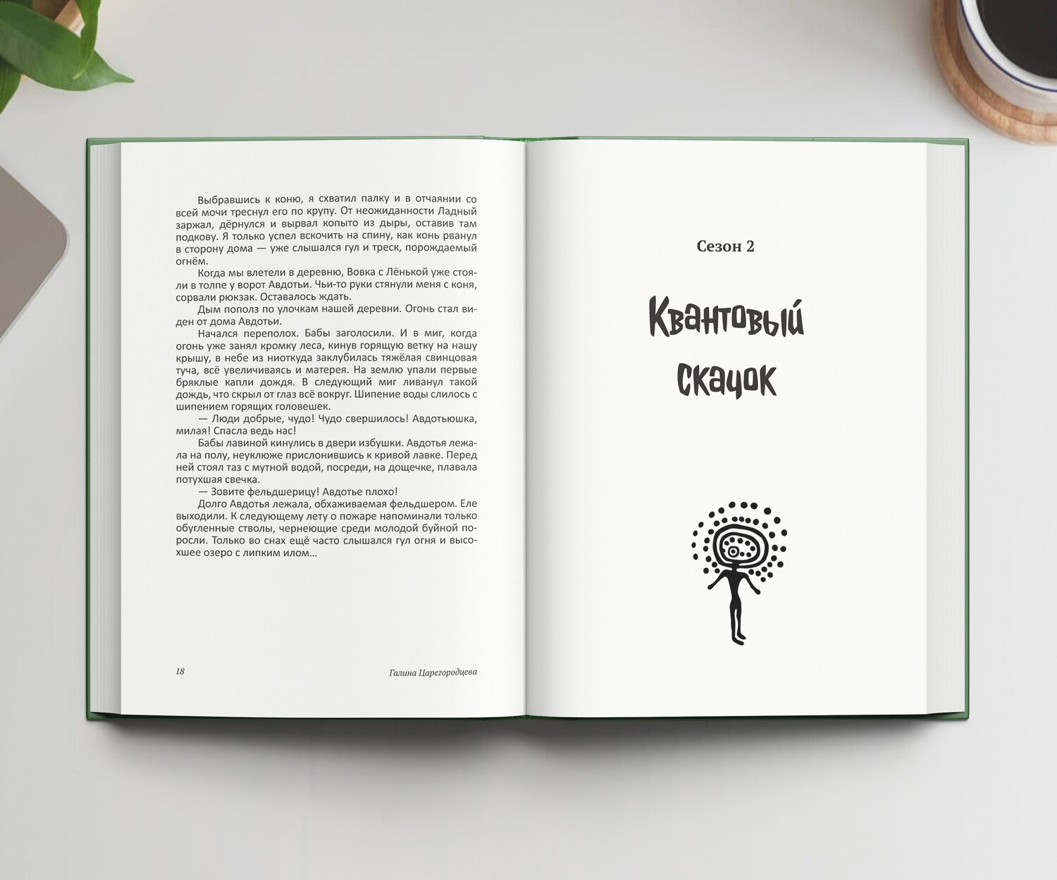 сигге книга, текст, в книгах, художественная литература, книга для тех