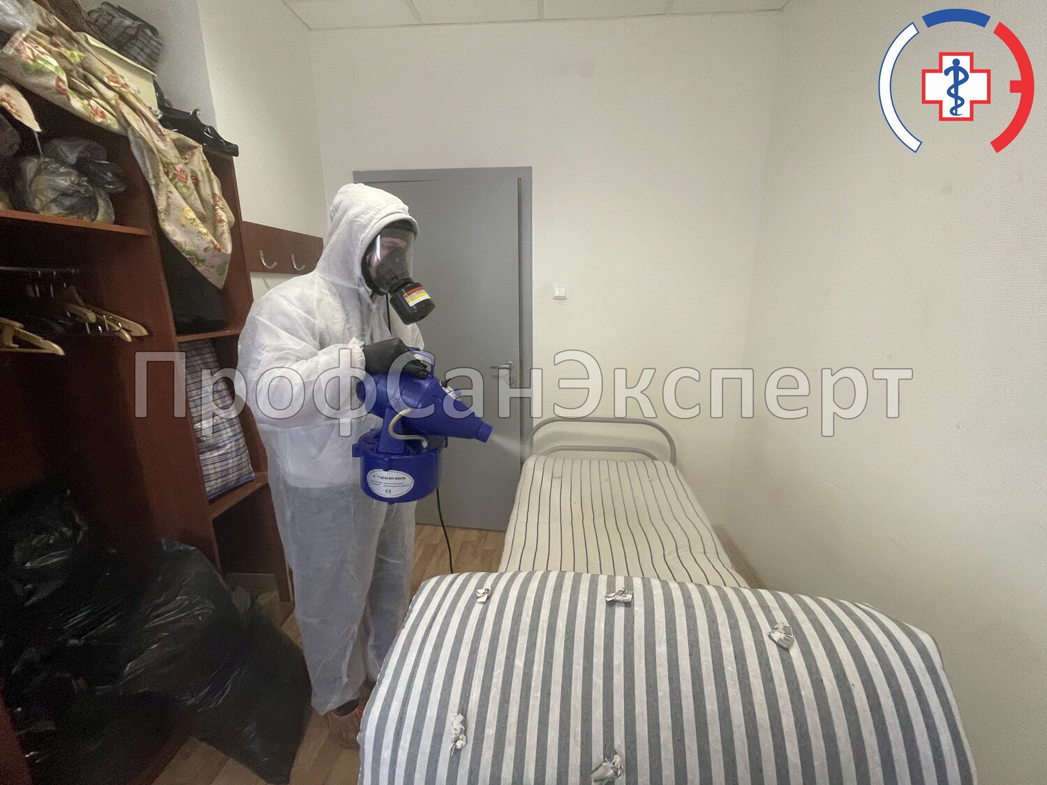 дезинсекция, дезинфекция дезинсекция дератизация, дезинфекции, дезинфектор, дератизация
