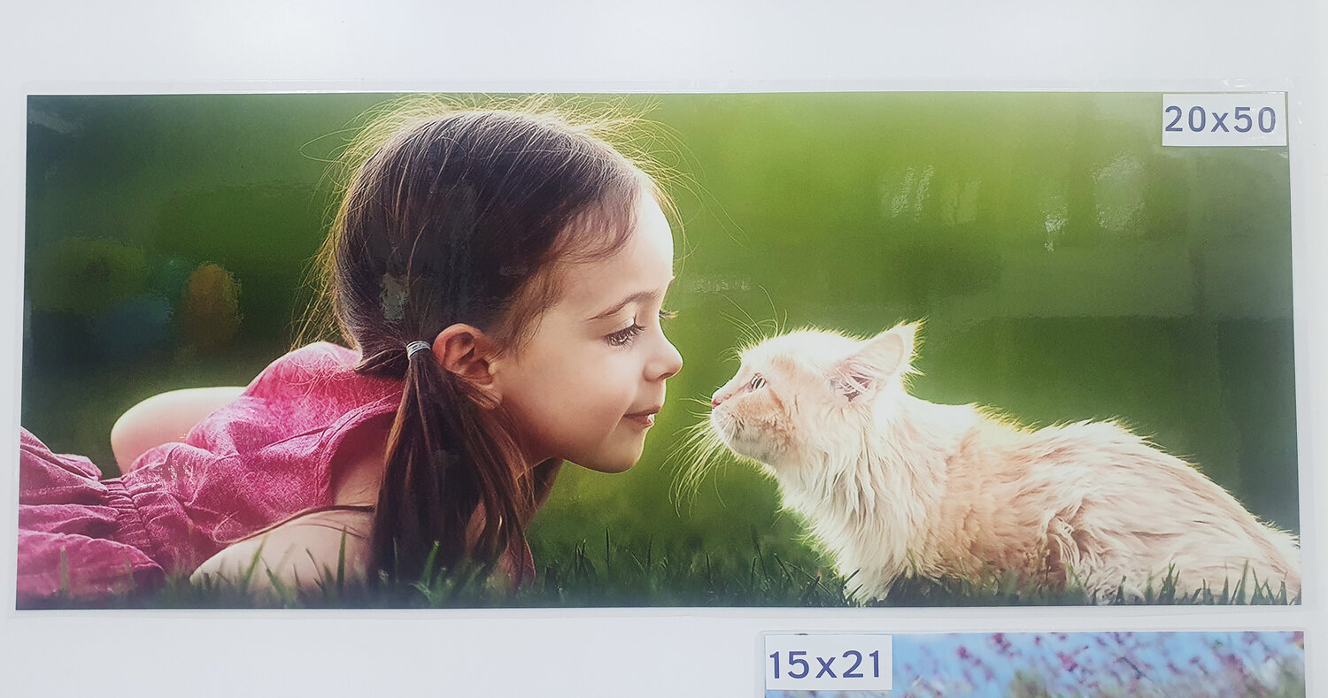 кот, дети животные, домашнее животное, девочка и кот, кошка