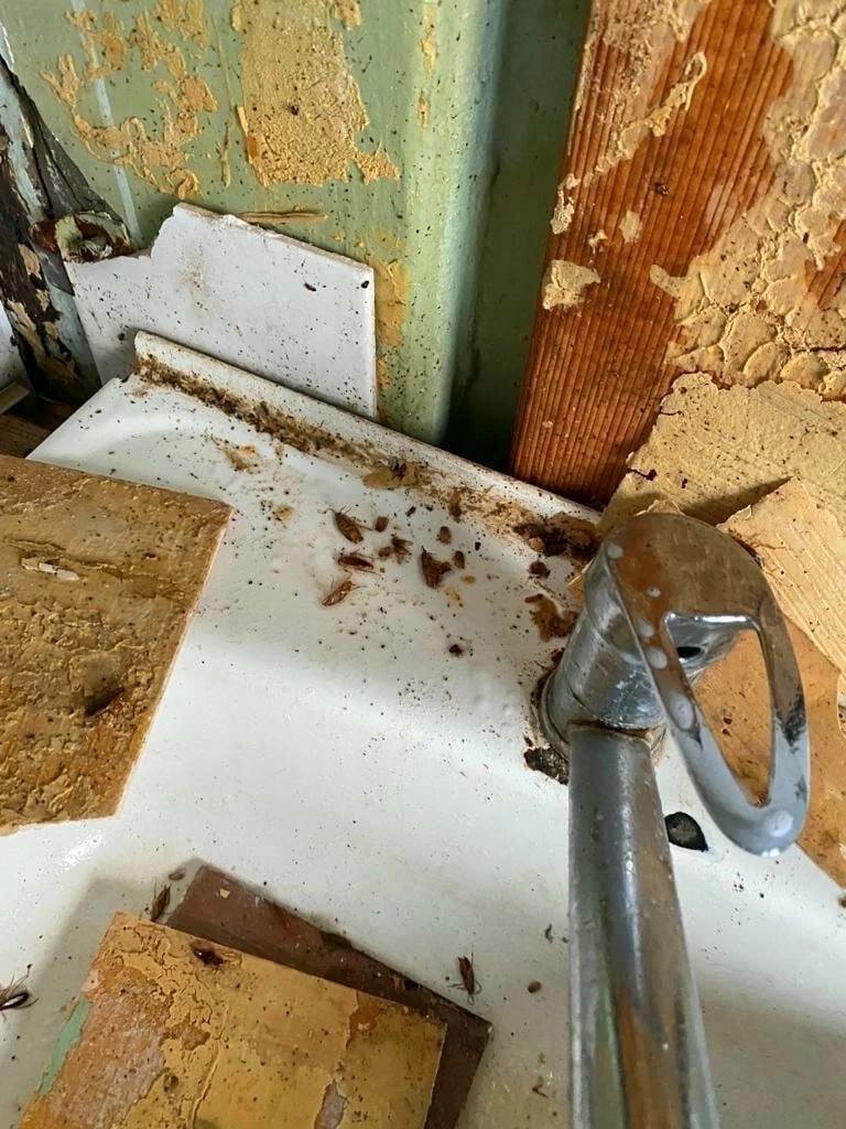 в квартире, взорвался водонагреватель, взорвался бойлер, жилье, тараканы в квартире