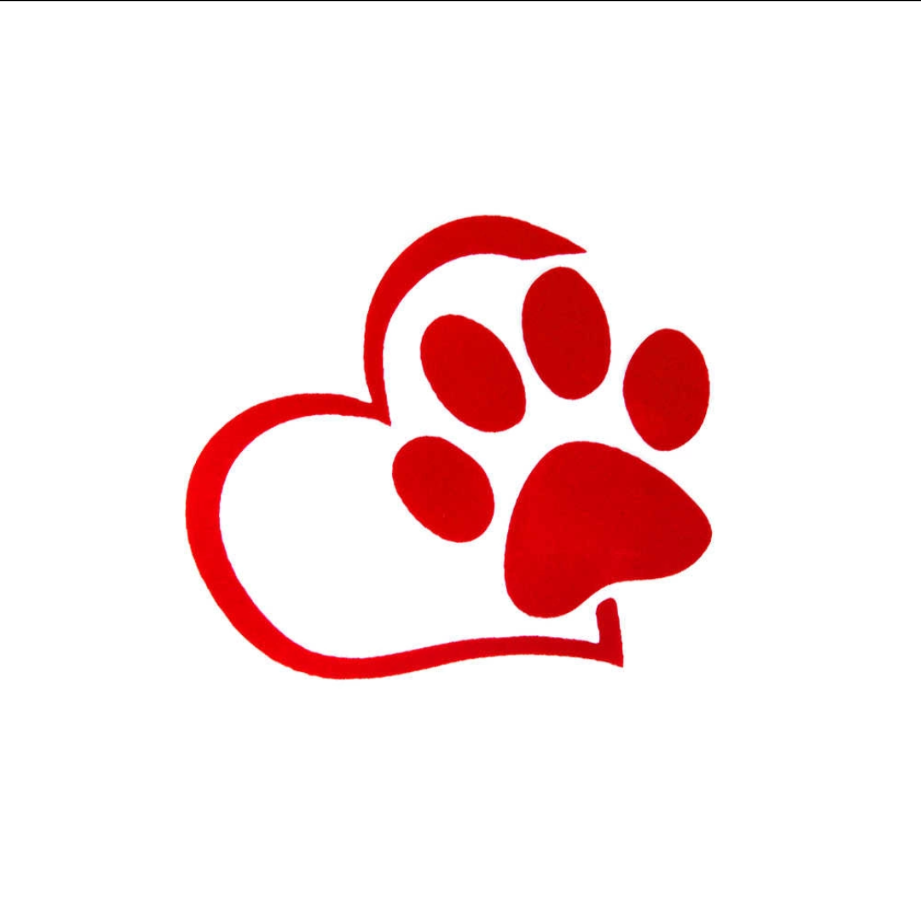 Авва Клиник