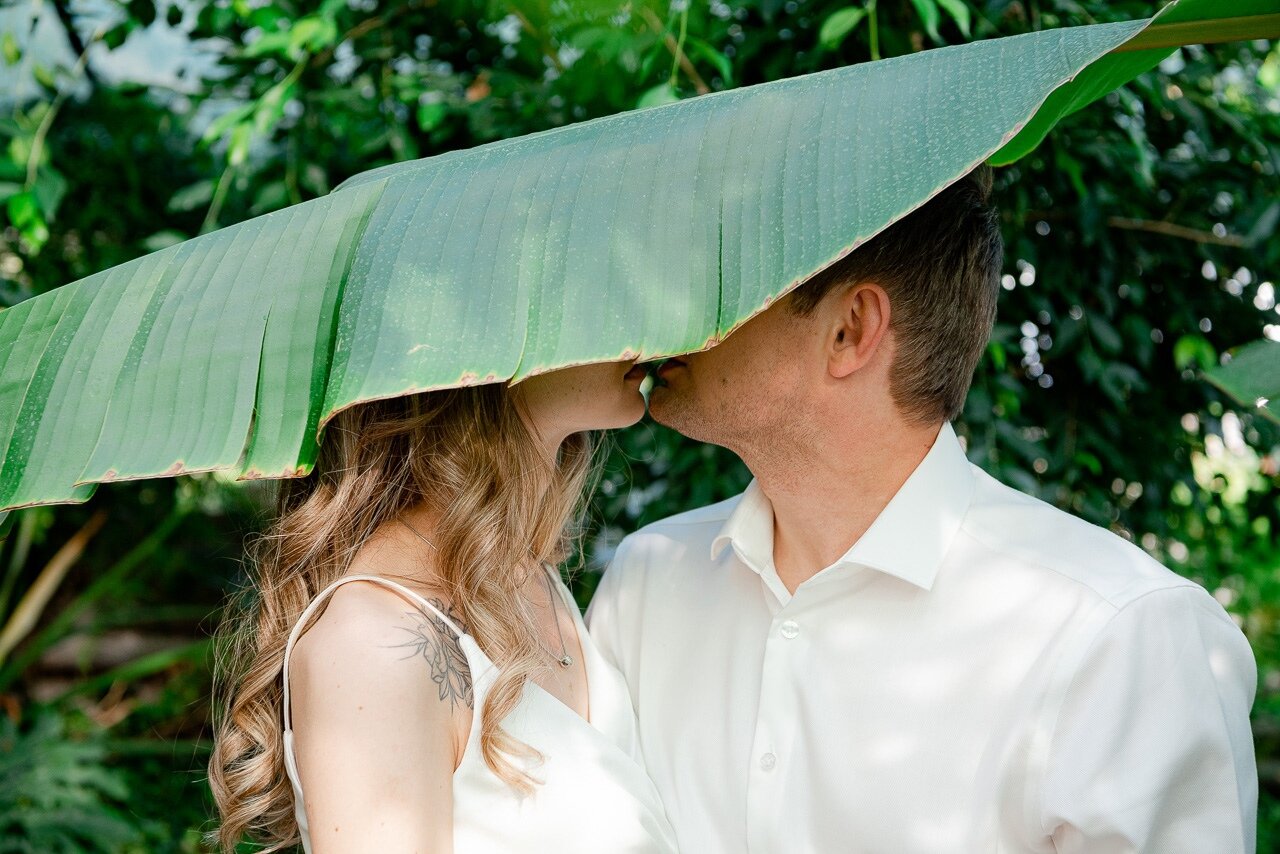свадьба, прозрачный зонт на свадьбу, свадебная фотосессия, свадебный, человек
