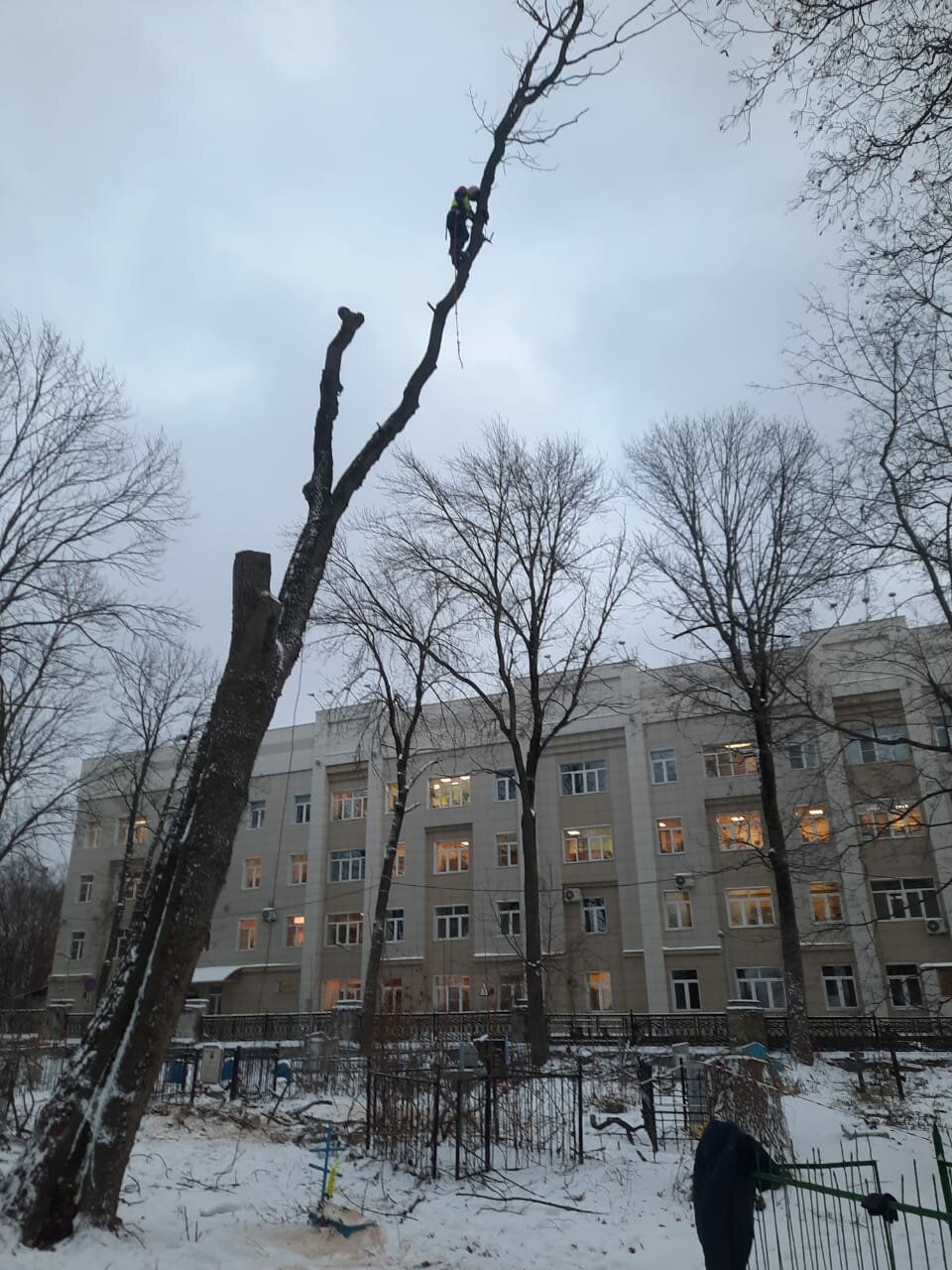 улица, коммунаров 231 ижевск, здание, дом в москве, во двор