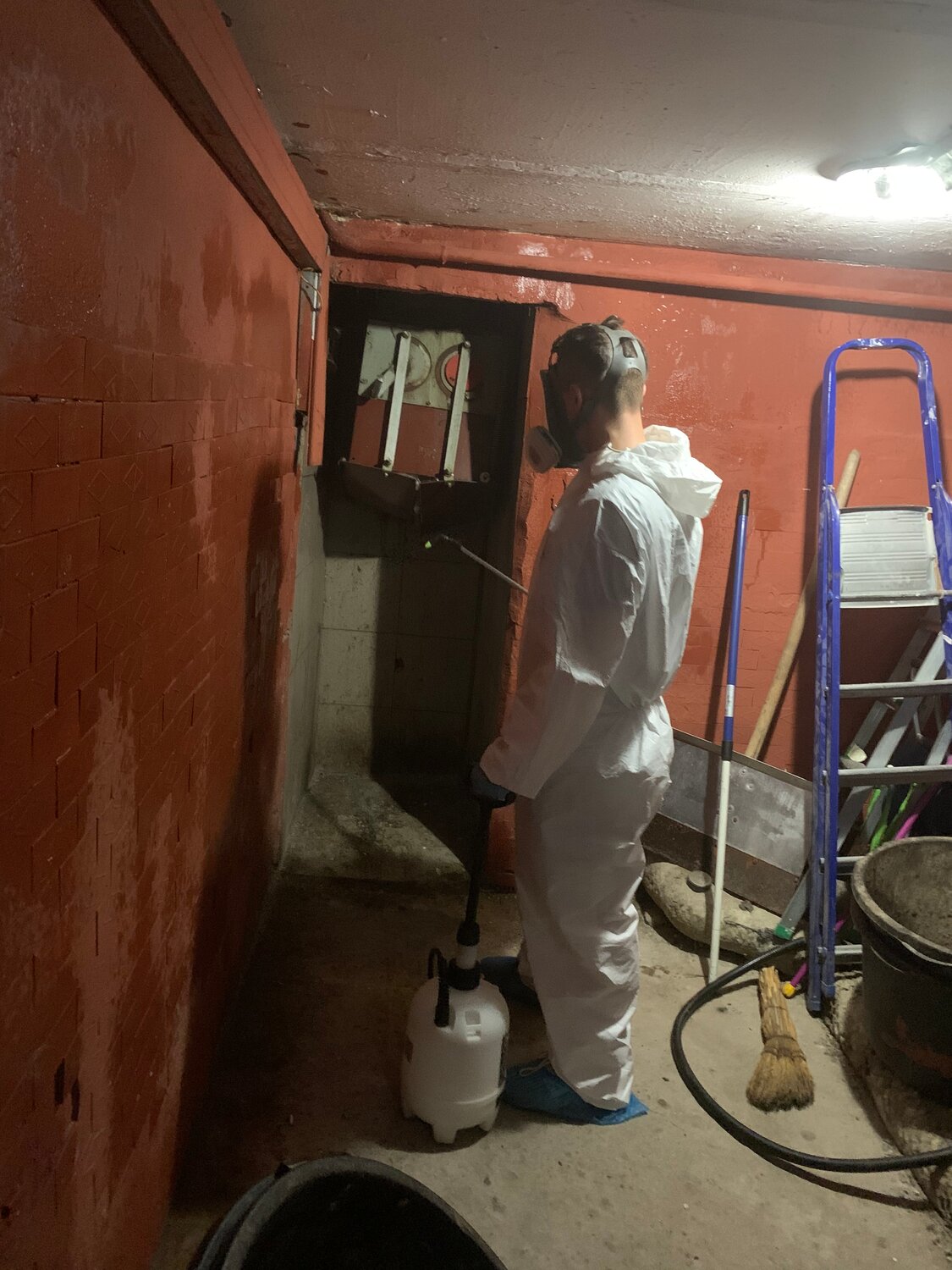 механизированная штукатурка стен, дезинфекция, штукатурка стен, дезинсекция, дезинфекция помещений