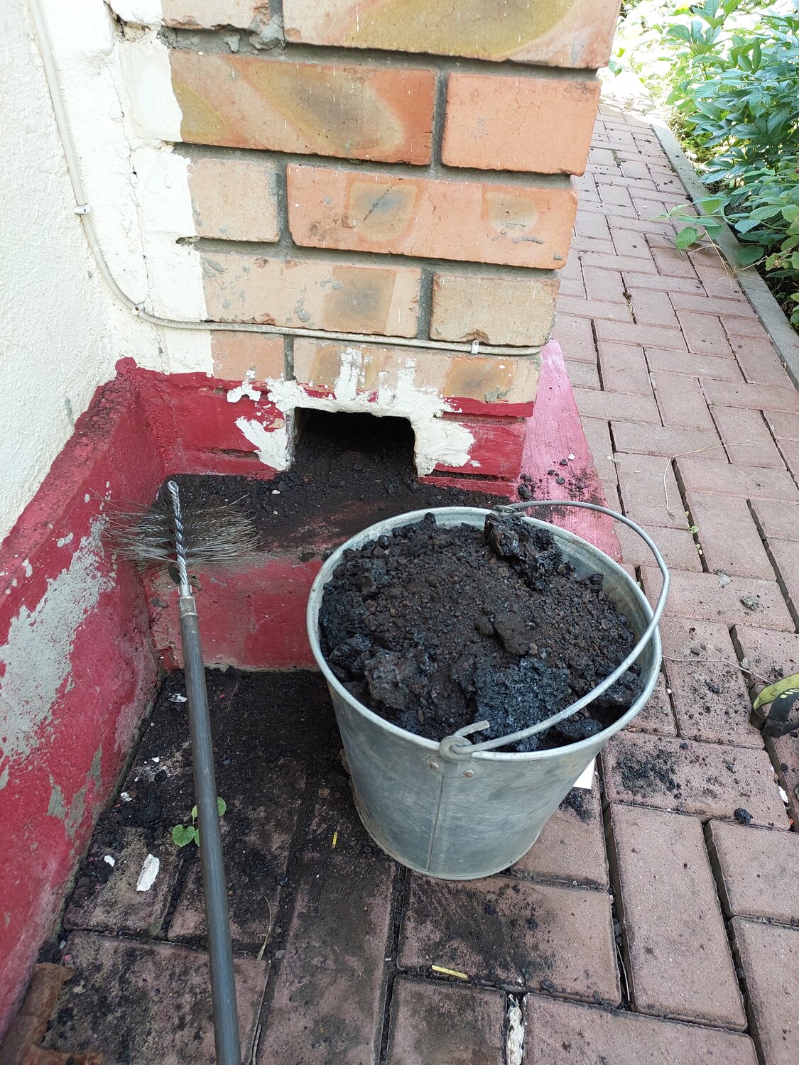 растение, посадка, высаживаем малину в ведрах, рассада, компост