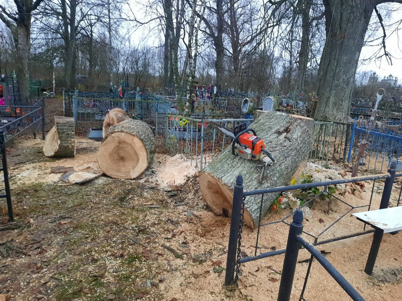 спилить дерево на кладбище, кладбище, кладбище в деревне, спил деревьев на кладбище в белово, спил деревьев на кладбище