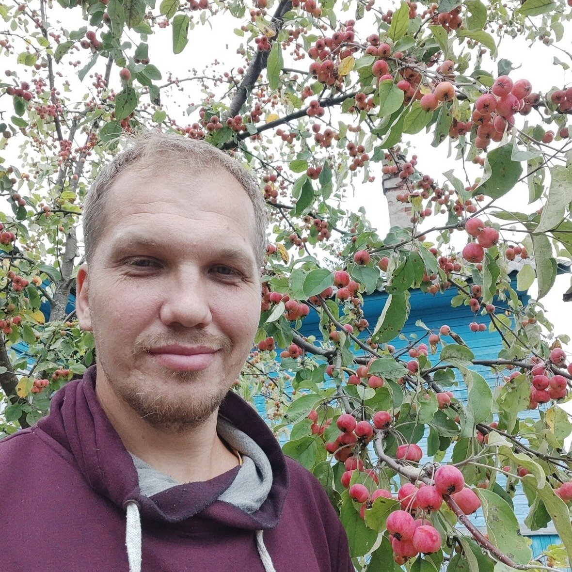Алексей К.