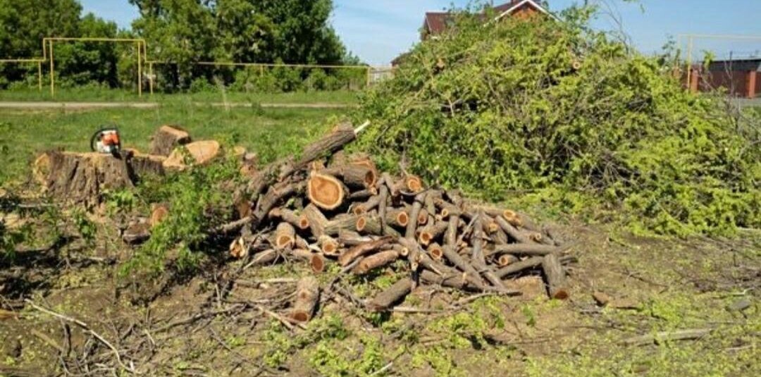 расчистка участка, участок, вырубленные деревья, порубочные остатки, расчистка участка от деревьев и кустарников