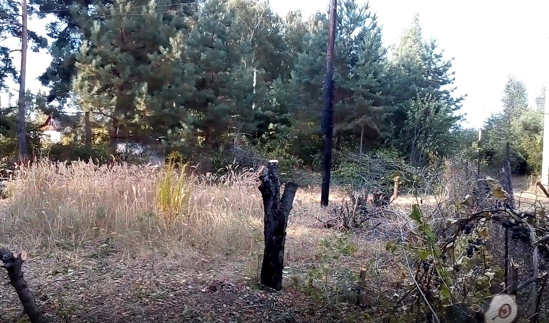 участок, мебель, лес то, участок 12 соток, лесная