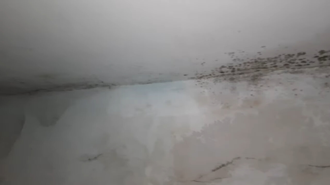 плесень на стенах, плесень на потолке, плесень на обоях, плесень, черная плесень