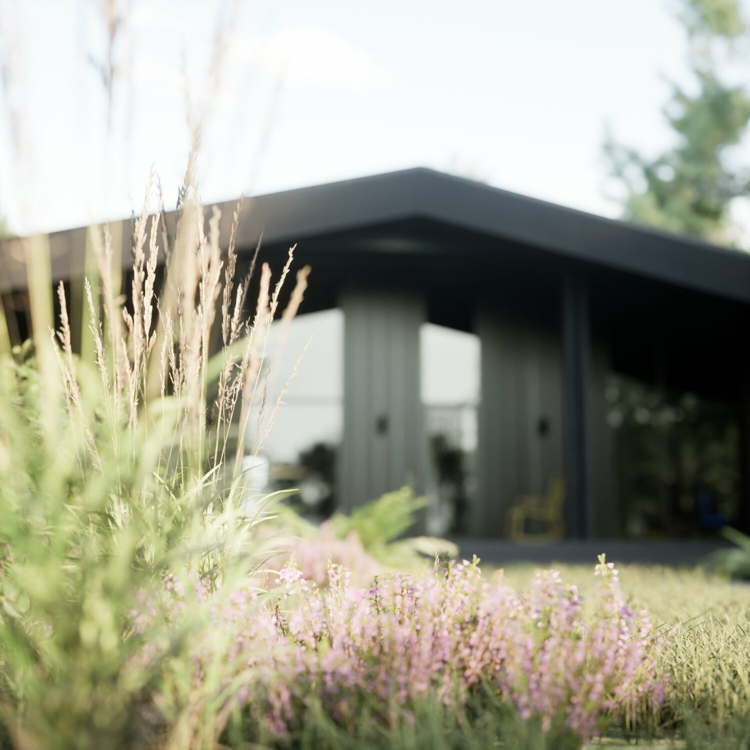 здание, ландшафтный дизайн 3 д, дом в, ландшафтного дизайна, коттедж