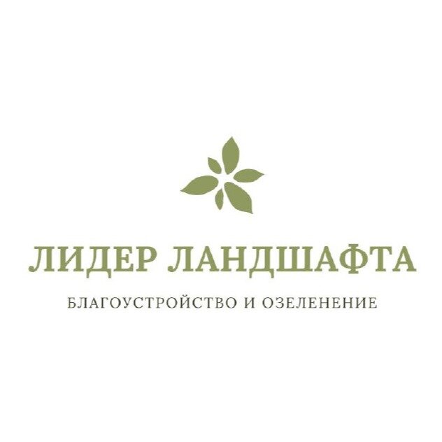 Лидер Ландшафт