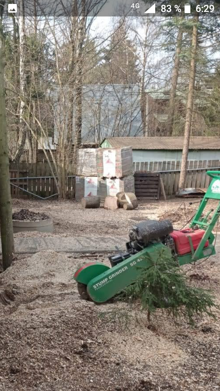 измельчитель пней, измельчитель пней laski f460e/27, дробление пней методом фрезерования хускварна sg3, измельчитель пней sable sg350h, дробление пней