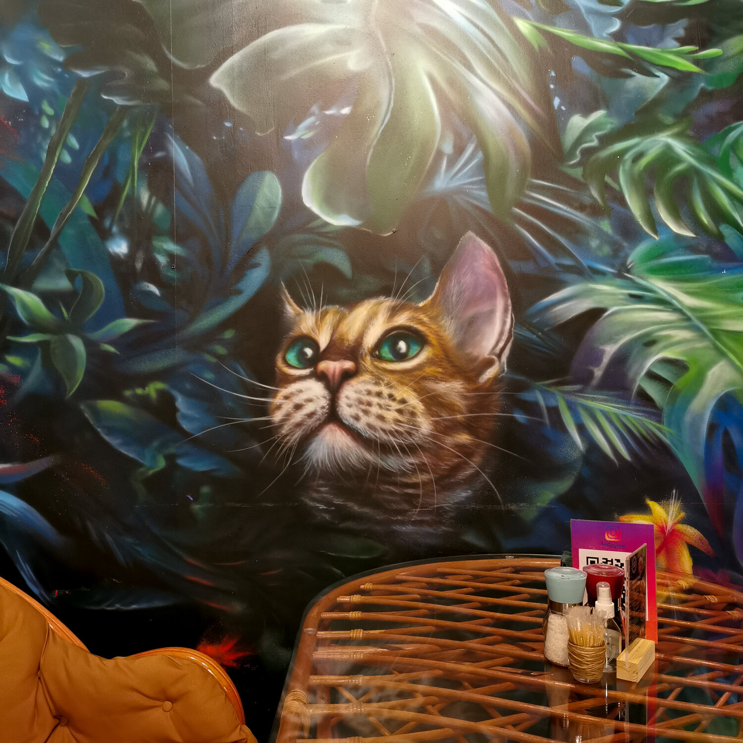 котик, кот, красивая морда кота, милый котик, любимые кошки