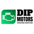 DIP Motors