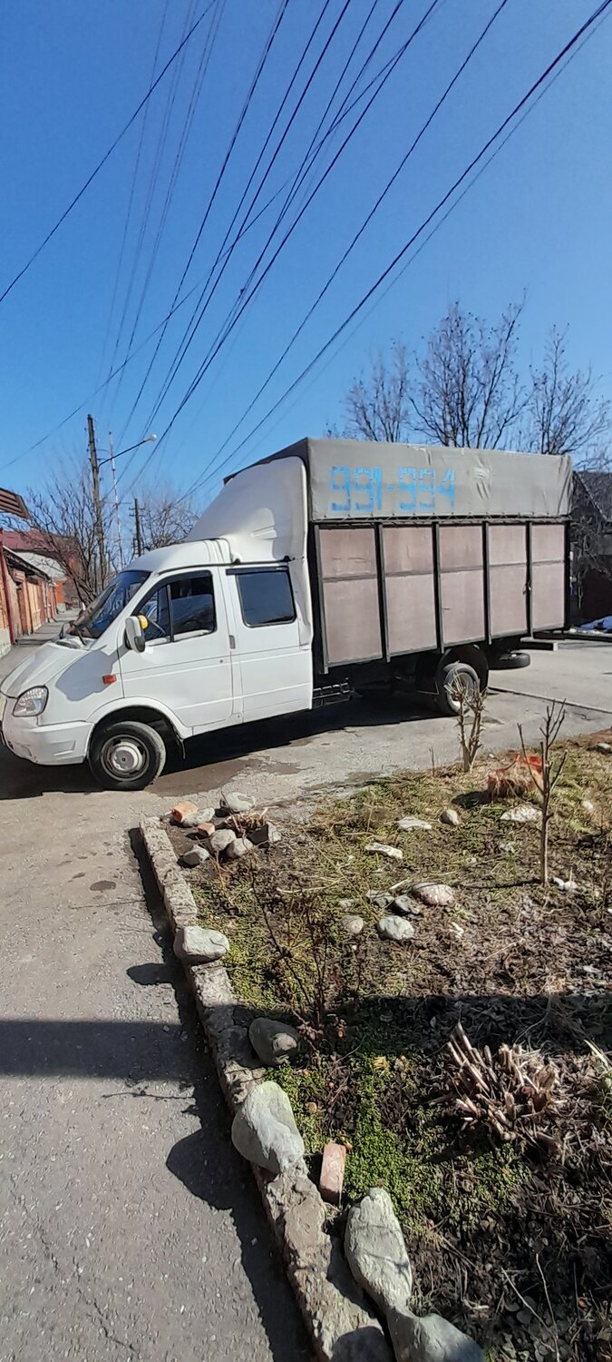 газель фермер, газ газель, газель бизнес фермер, газели, газель фура