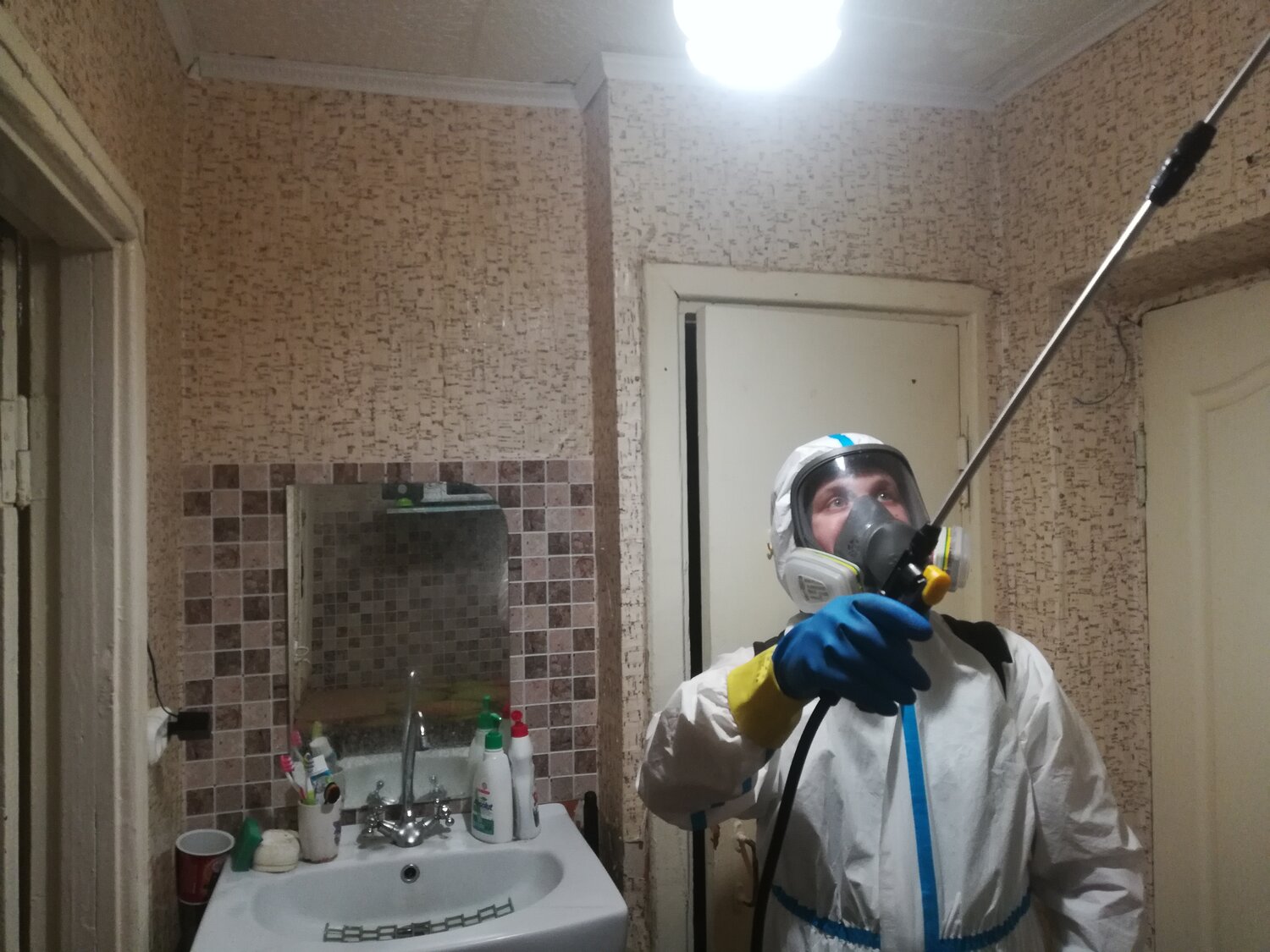 дезинсекция, дезинсекция клопов туманом, дезинфекция, дезинсекция подъездов, дезинфекция плесени