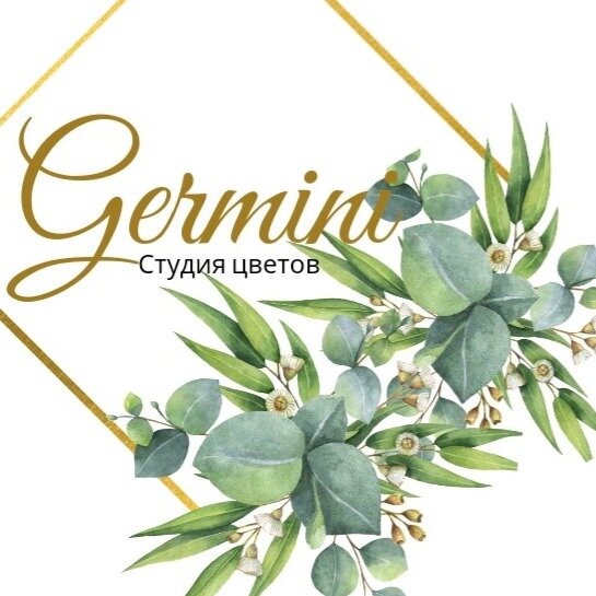 Гермини