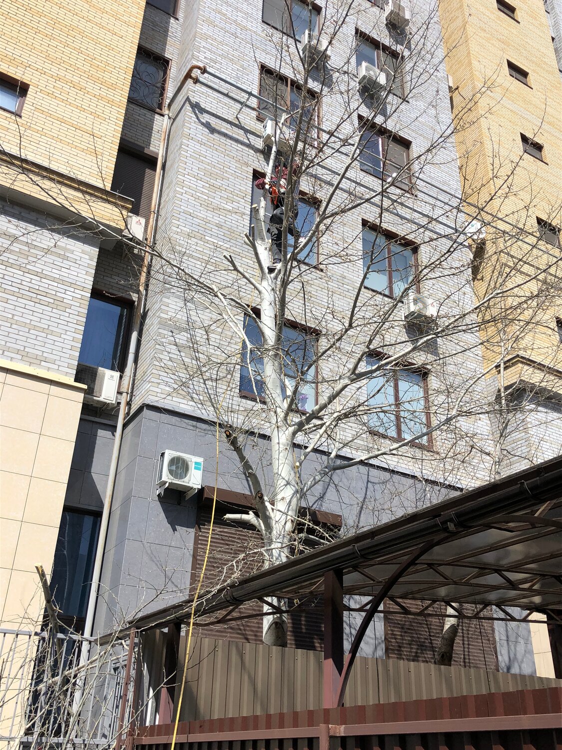 здание, балконы, фасад здания, балкон и лоджия, балкон в россии