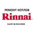 Ремонт газовых котлов Rinnai