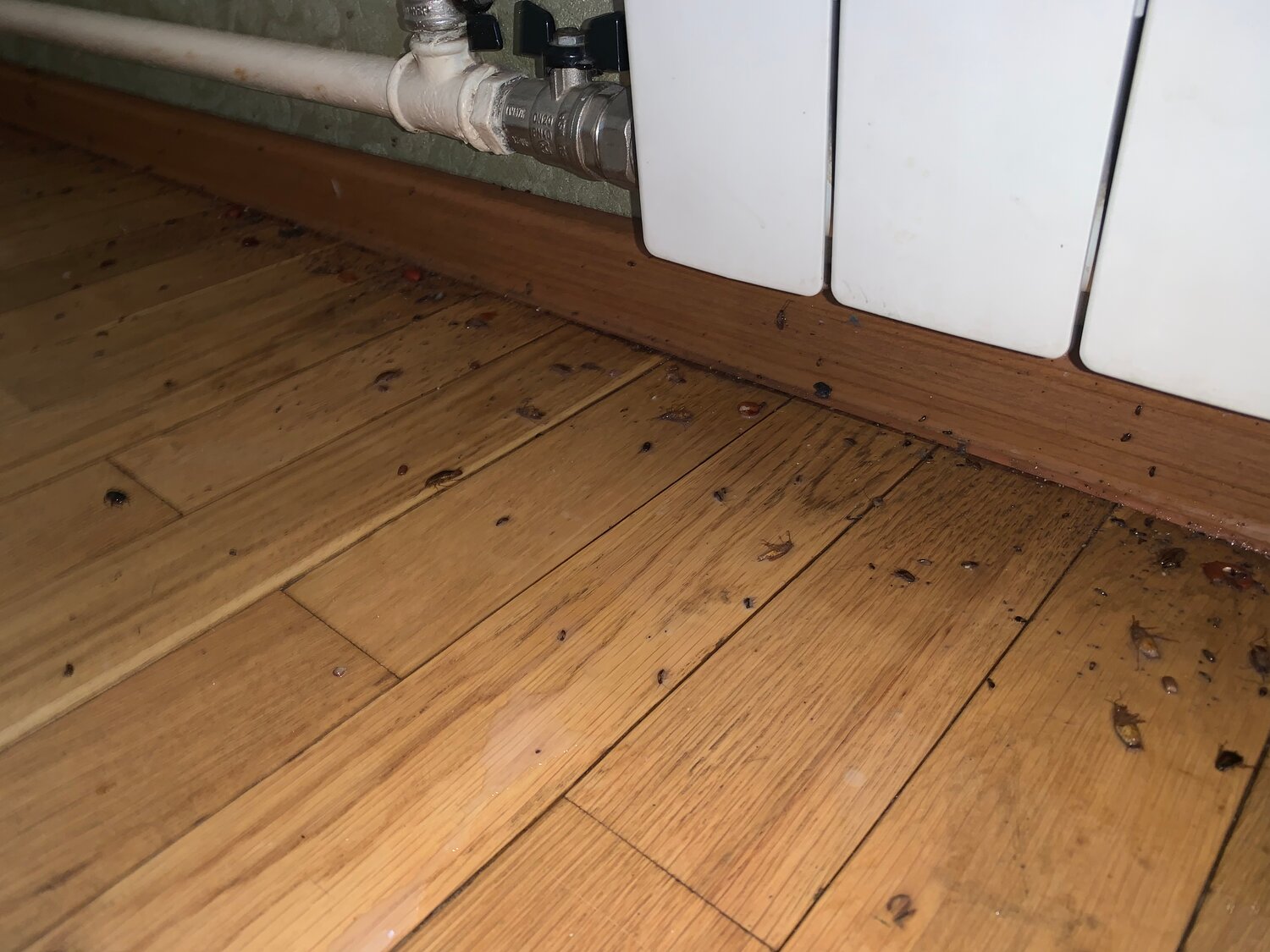 доска пола, деревянный пол, паркетная доска, ламинат, пол в деревянном доме