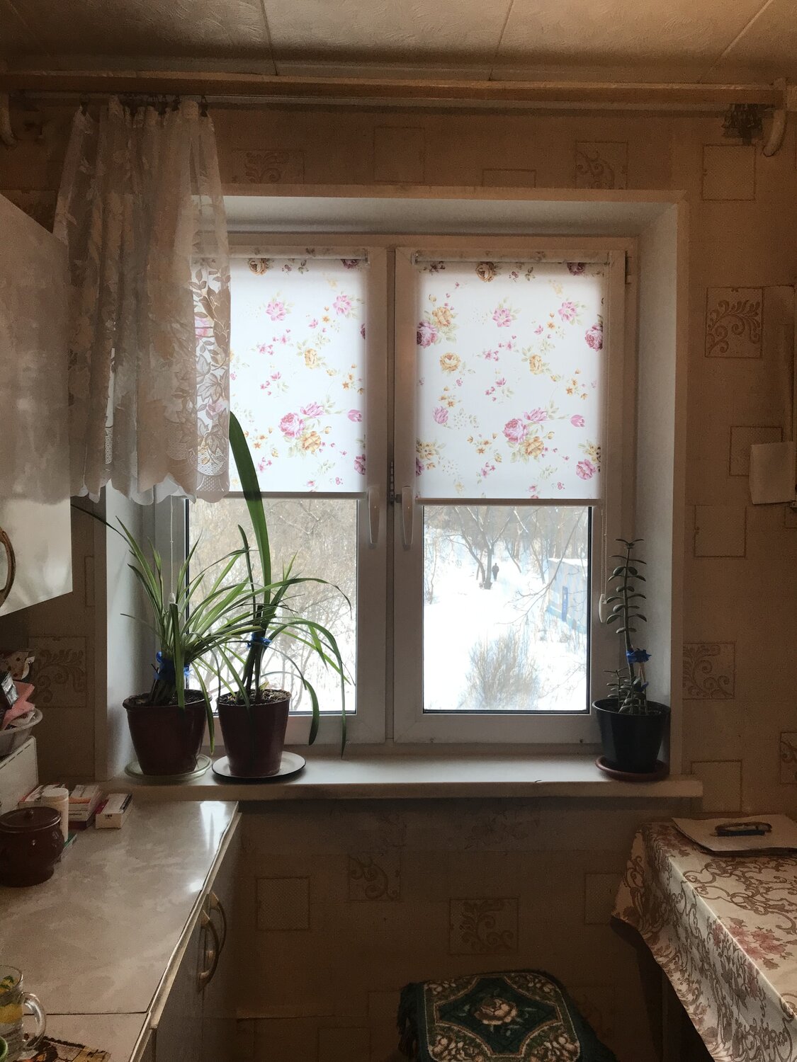 рулонные шторы, рулонные шторы на кухню, рулонные шторы на окна, рулонные шторы жалюзи, шторы на кухню с рулонными шторами