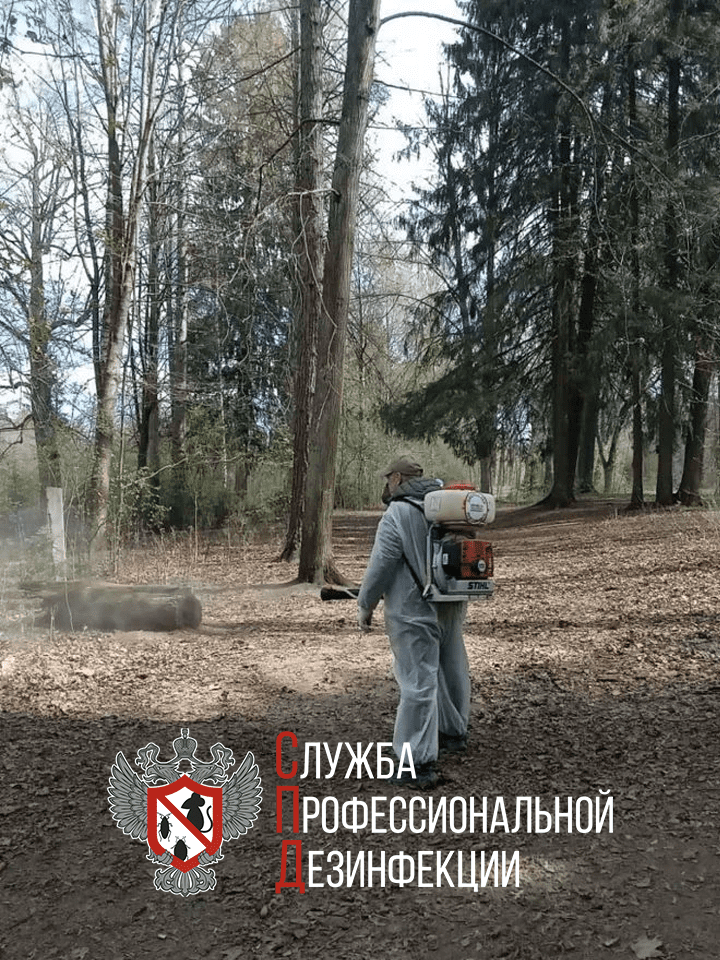 обработка от клещей, обработка парков от клещей, санитарная обработка, парк победы обработали от клещей, уничтожение клещей на участке