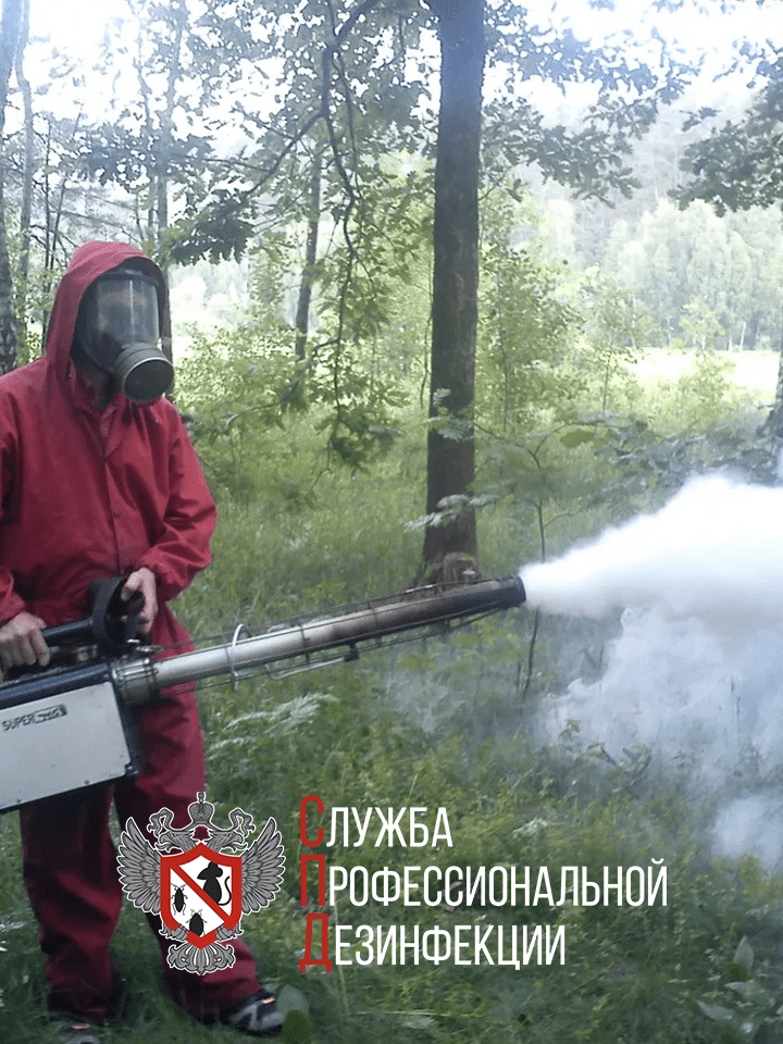 дезинсекция комаров, акарицидная обработка от клещей, дезинфекция горячим туманом, обработка от клещей, дезинфекция дезинсекция дератизация