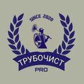 Трубочист PRO