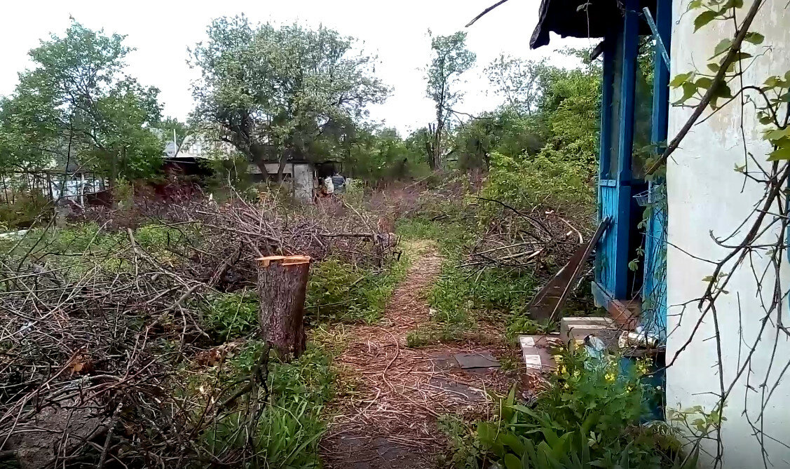 дача, участок, дом дача, дачный участок, дом участок
