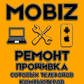 MobiZ