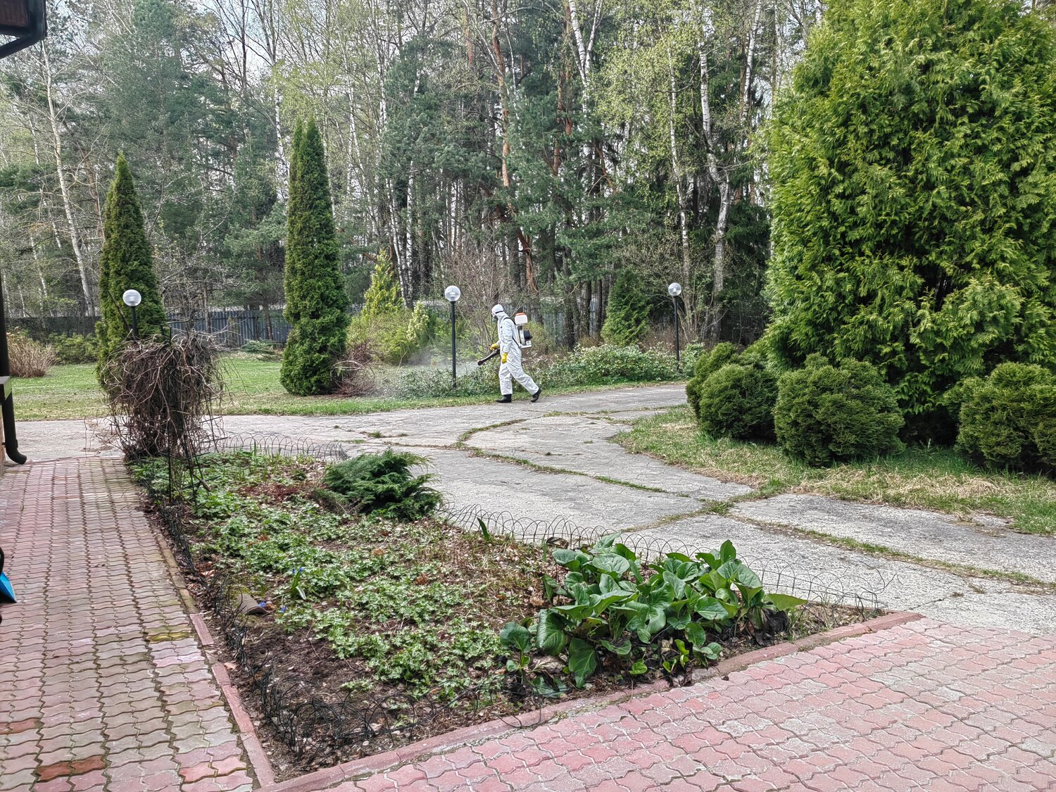 ландшафтный дизайн, парк, ландшафтный, дендрологический парк «заполярье», дендрологический сад