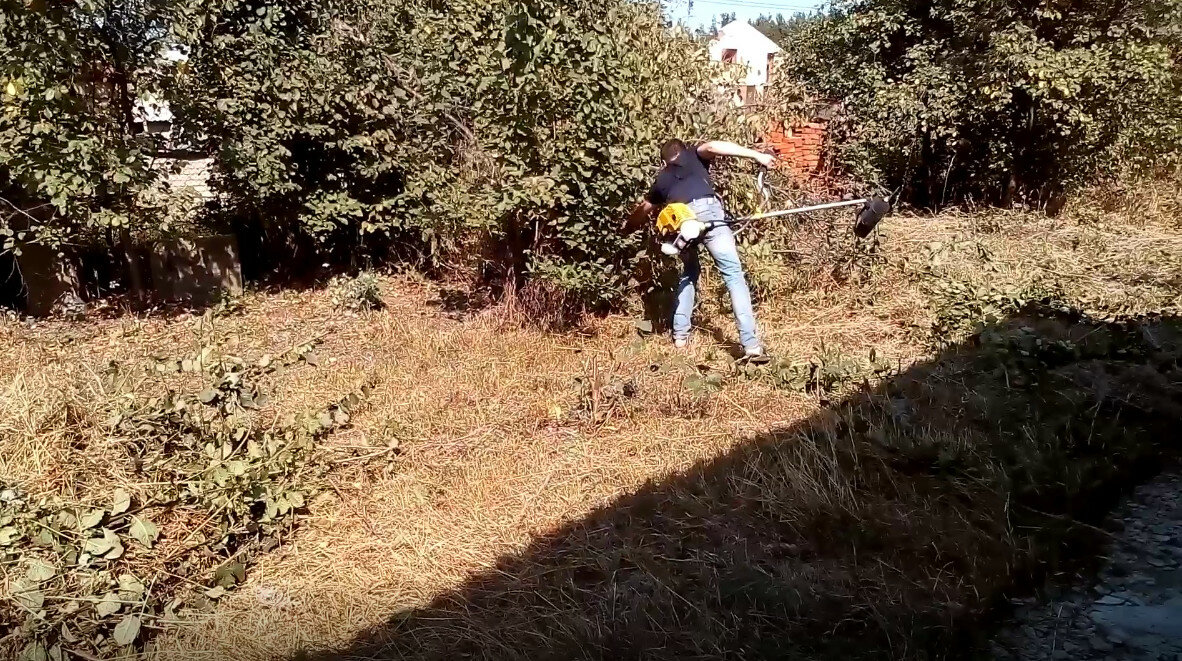 покос, покос травы, мотокоса штиль, сенокос жара, уборка участка