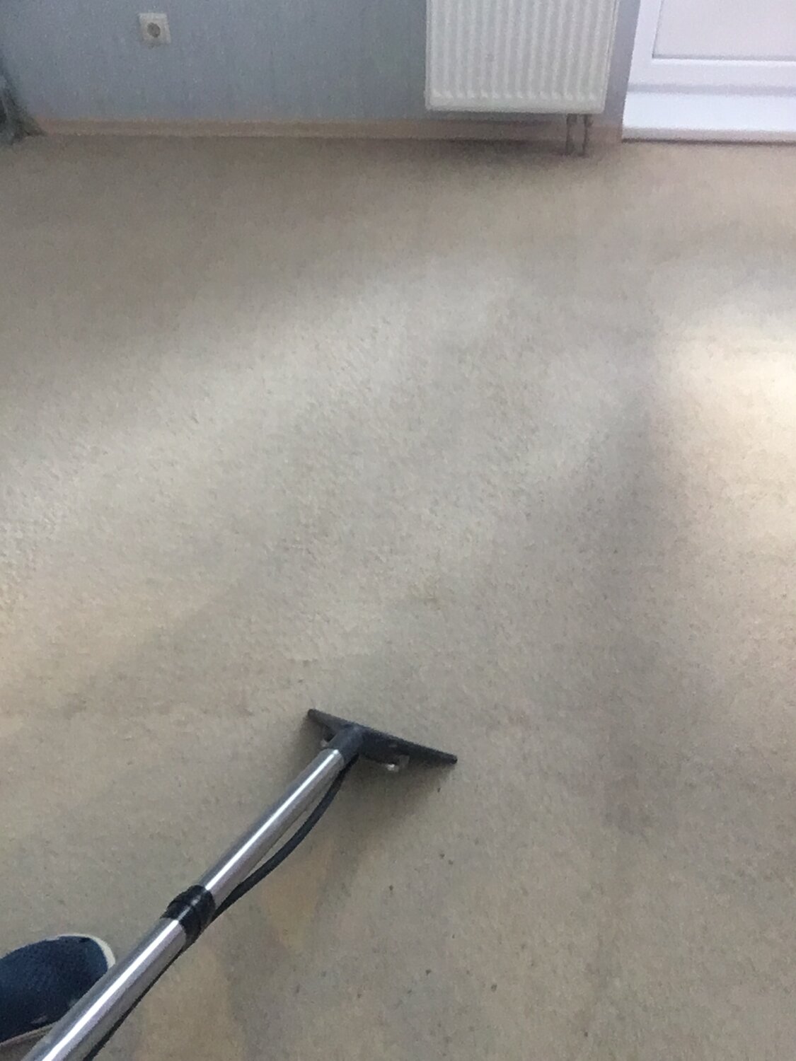 carpet clean, уборки, химчистка ковров, химчистка ковровых покрытий, химчистка на дому