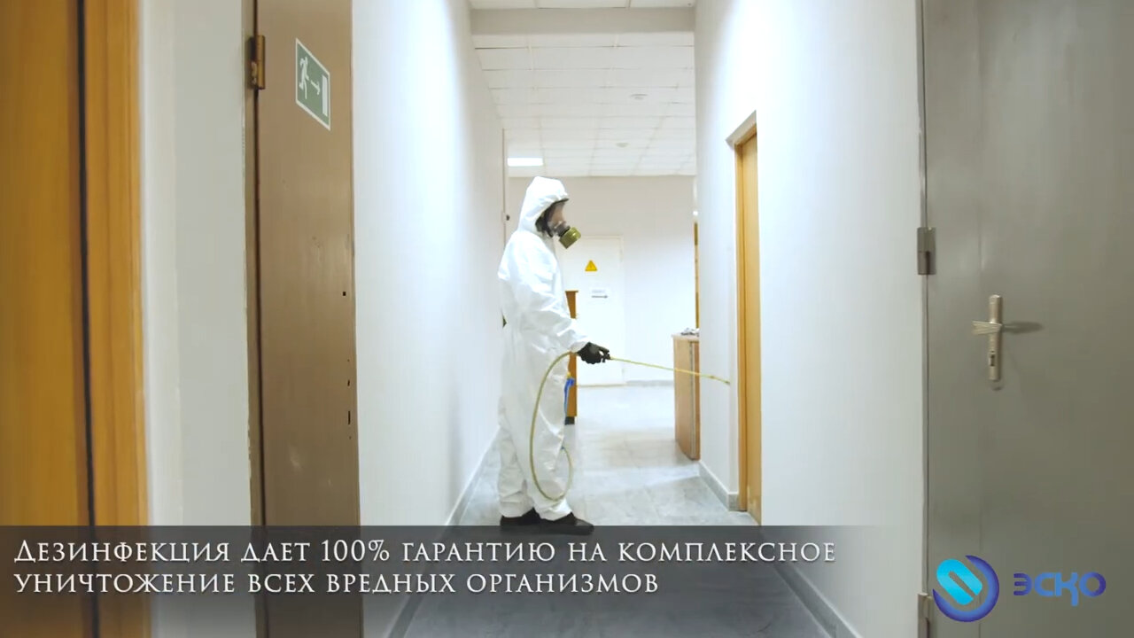 дезинфекция, дезинфекция помещений, дезинфекция дезинсекция дератизация, дезинсекция, дезинфекция помещений мкд