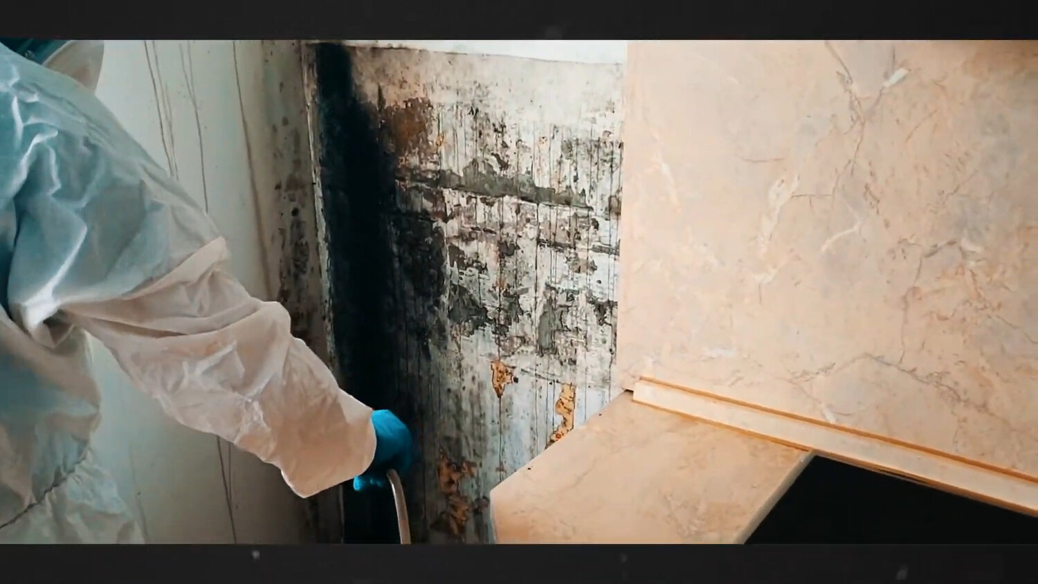 плесень на стенах, уничтожение плесени, обработка стен от плесени, плесень под обоями, обработка от плесени