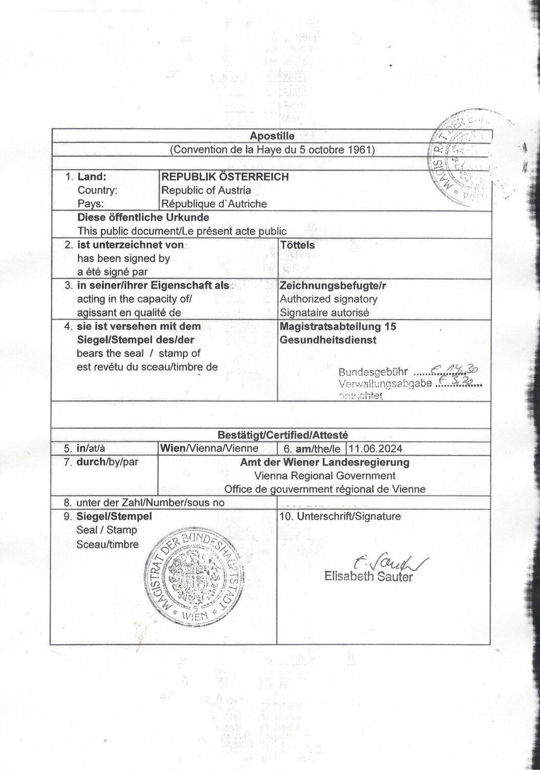 таблица, сертификат ст-1 китай, surat, ст-1 сертификат для белоруссии, universitas negeri malang