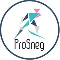 Prosneg спортивно-оздоровительный клуб