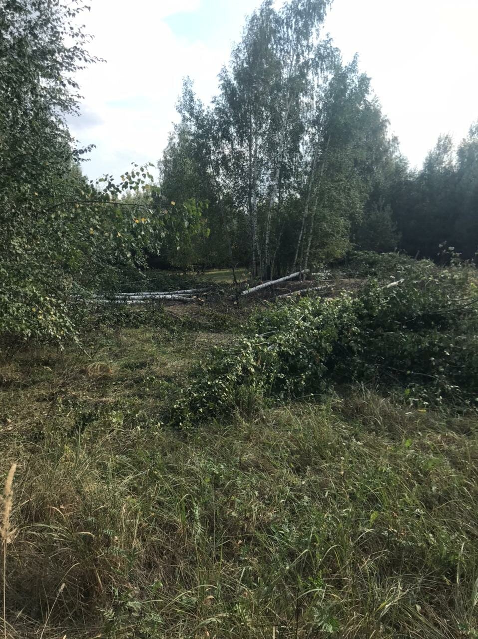 земельного участка, участка, участок в деревне, снт сославино волоколамский район, дачные участки