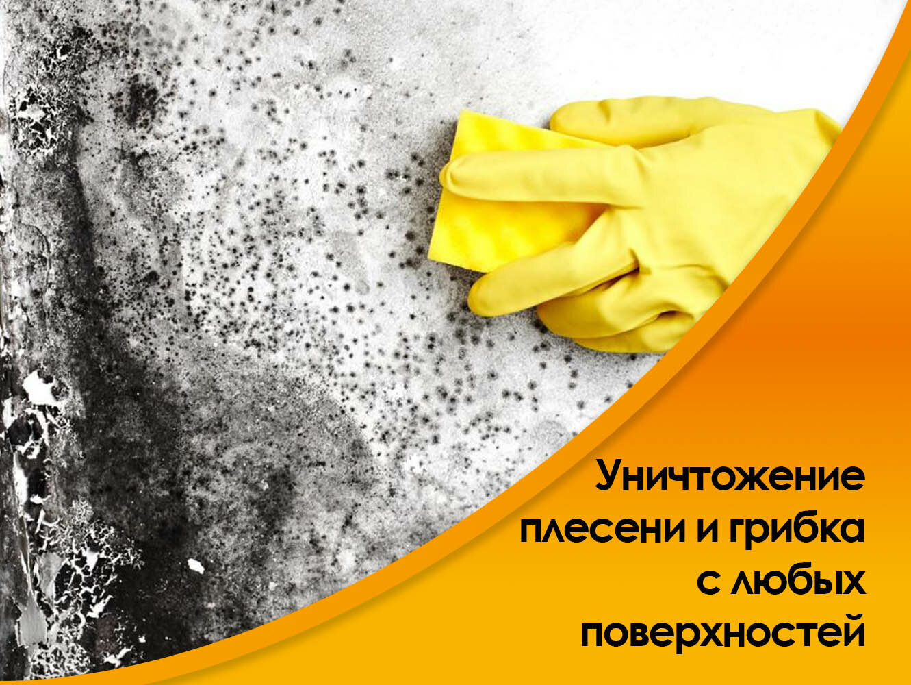 средство от плесени на стенах, уничтожение плесени, обработка помещений от плесени и грибка, избавиться от плесени, средство от плесени на стенах в доме