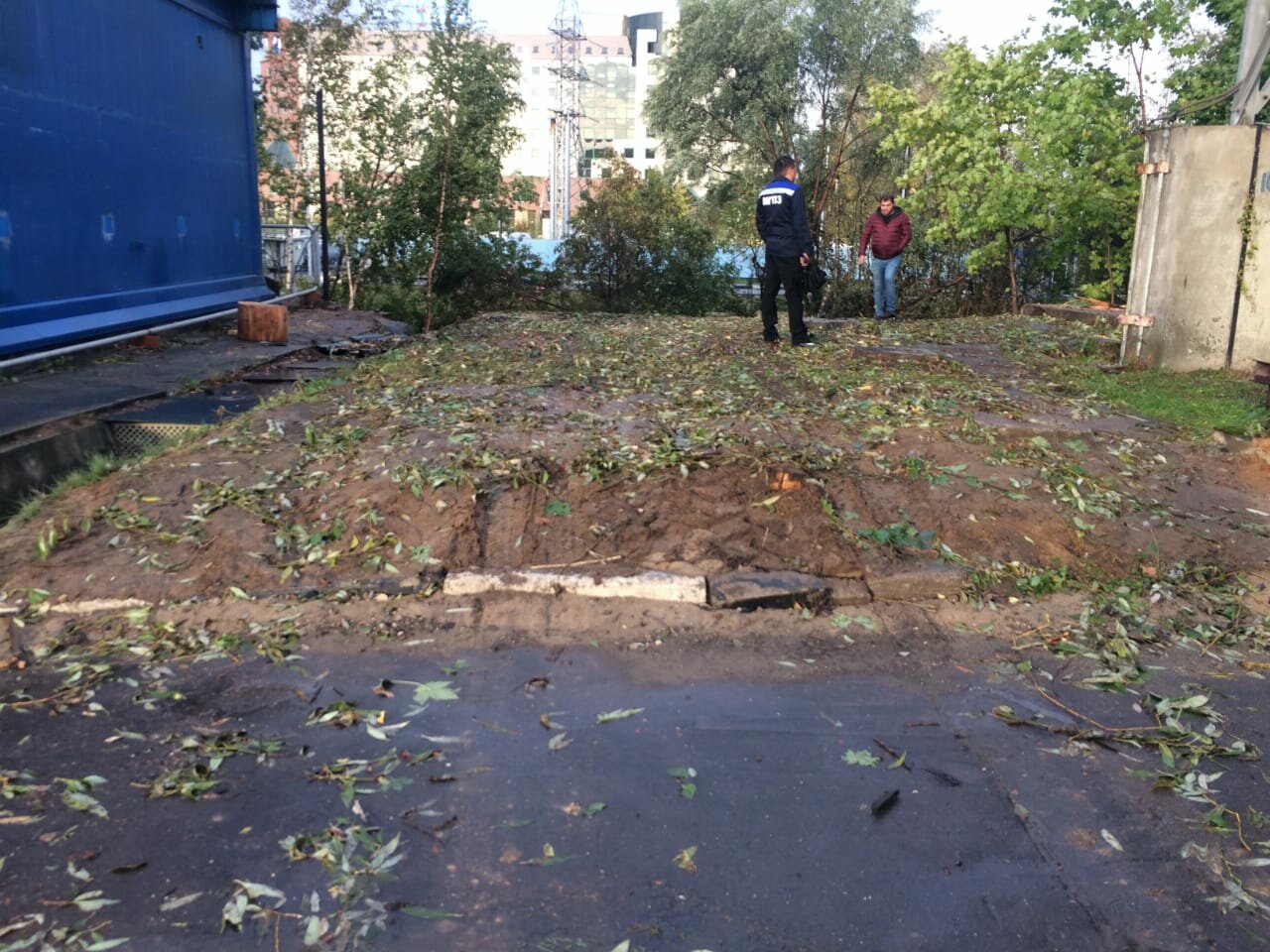 во дворе, курган вырубка деревьев, клумбы архангельска, дворовая территория, благоустройство дворов нижний новгород