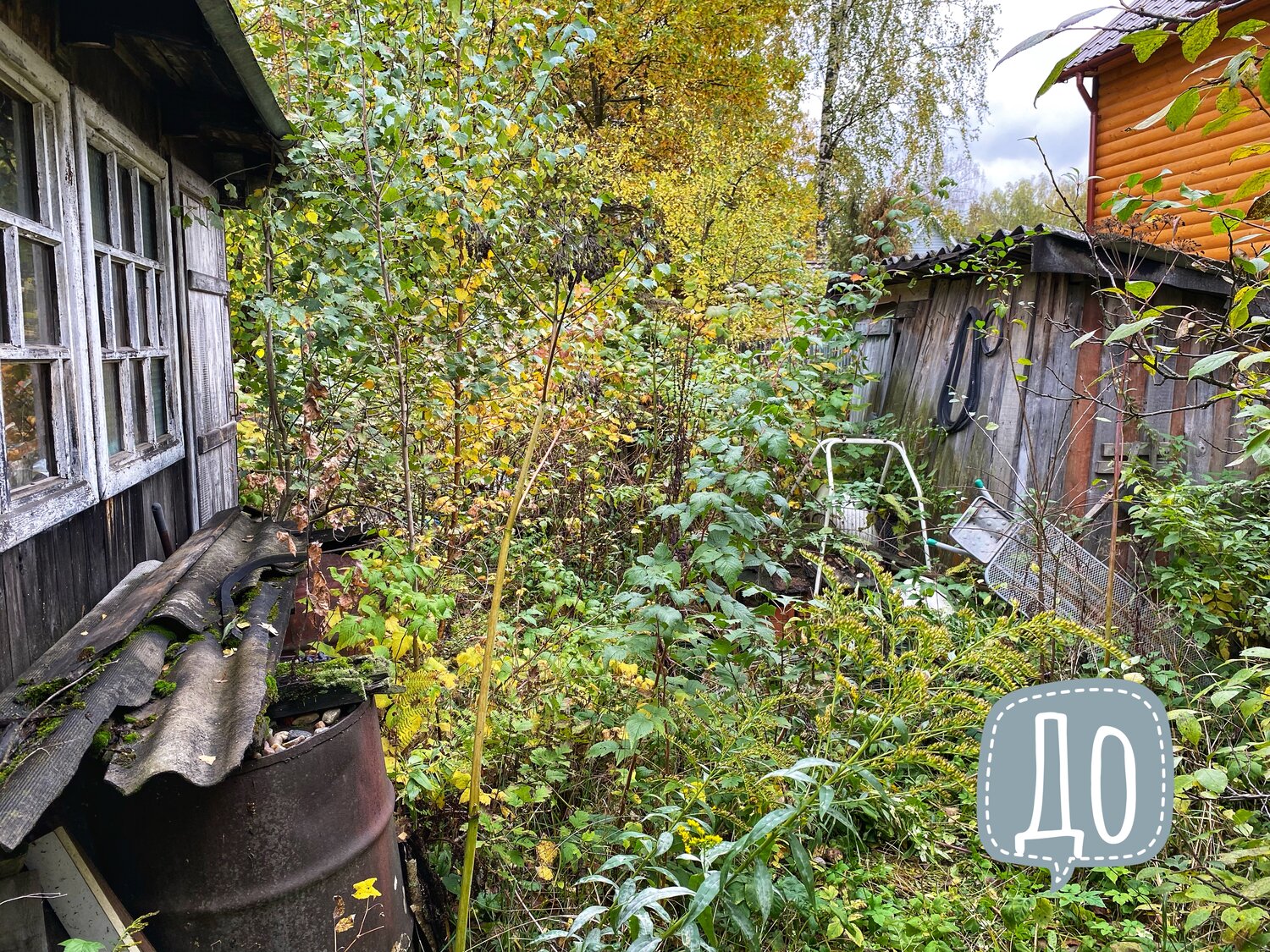 дача, остров зеленый бор казань, дача в деревне, дом дача, загорянский старые дачи