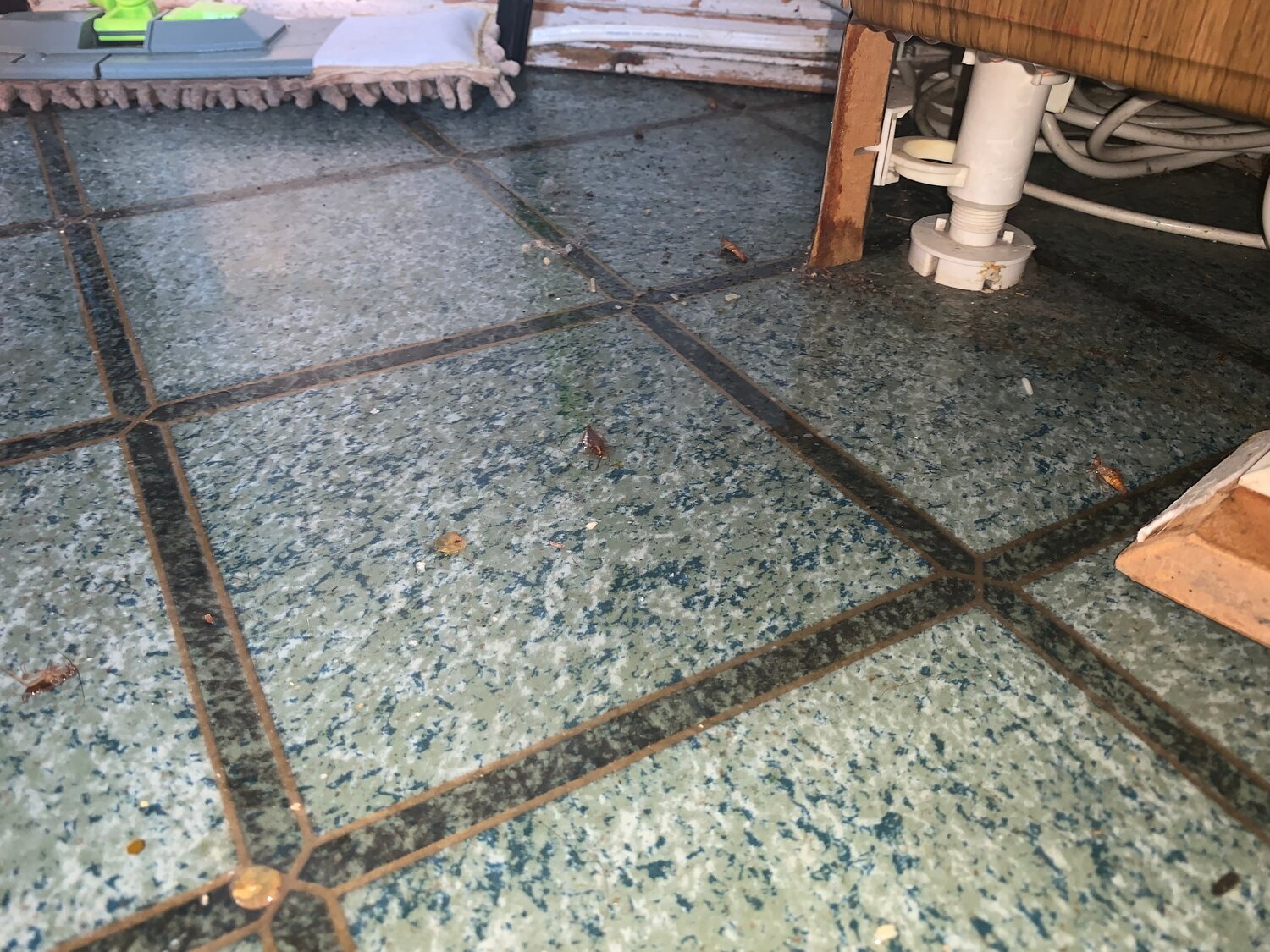 плитка на пол, укладка плитки, плитка, керамогранит на пол, плитка напольная