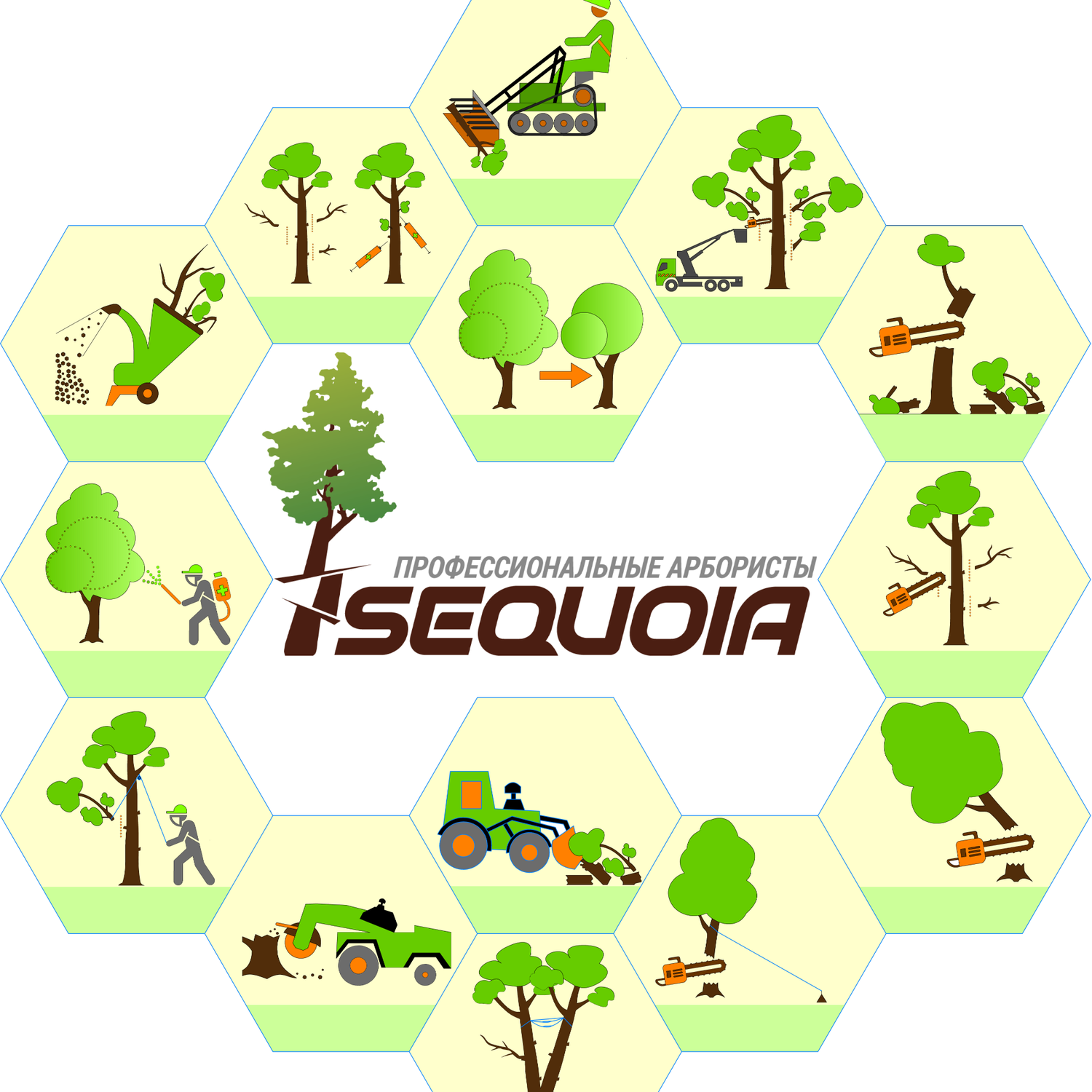 Sequoia Pskov