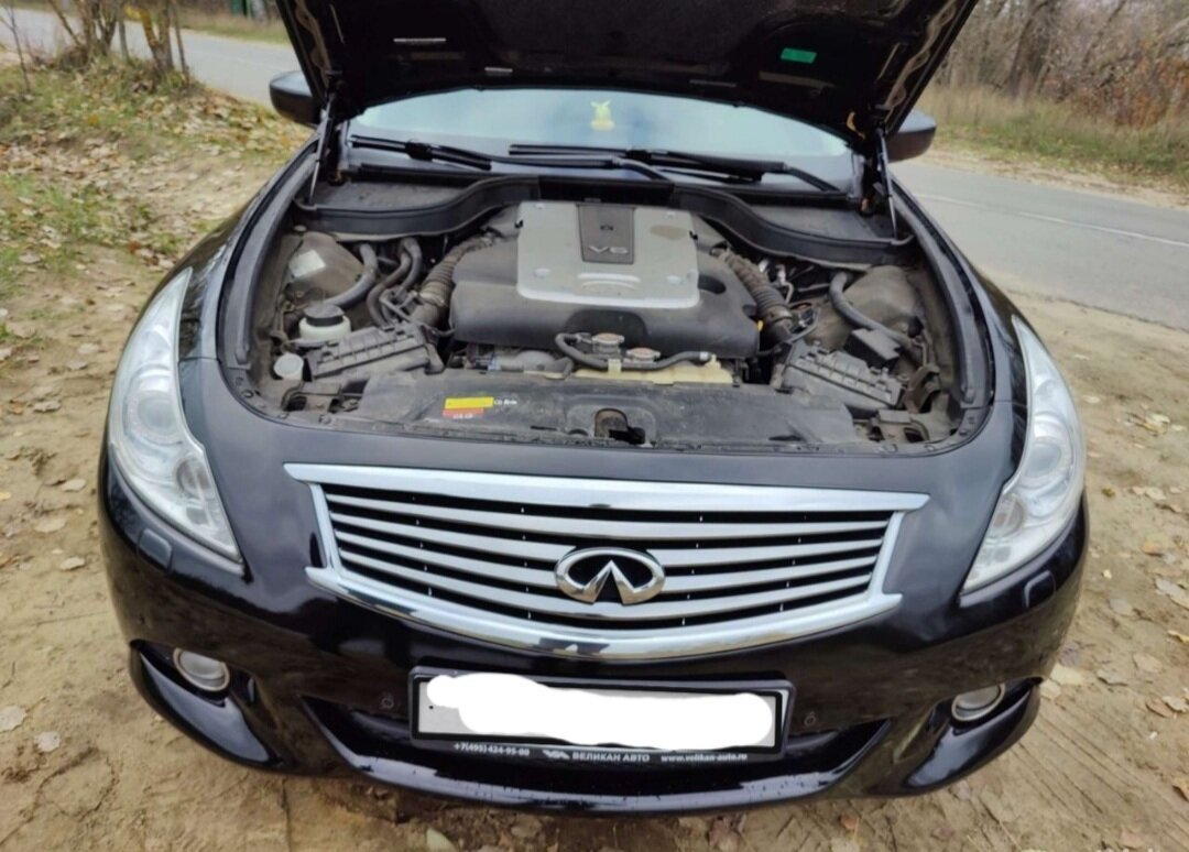 infiniti g, infiniti, инфинити г 25, подержанные авто, infiniti g 35 2008